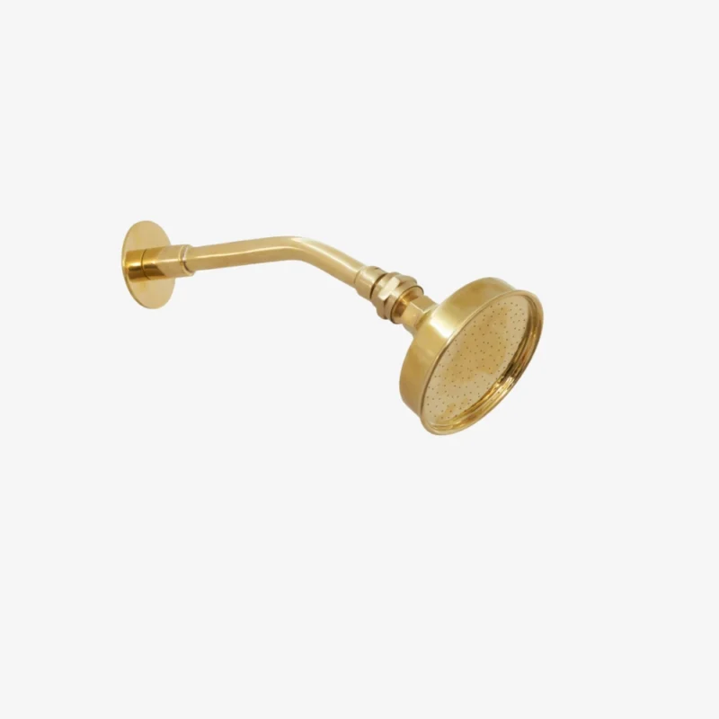 La pluie - Unlacquered Brass Rainfall Swiveling Showerhead